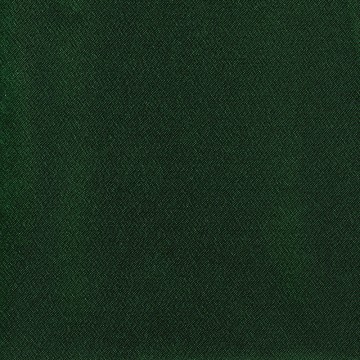 EP100 (Dark Green) 